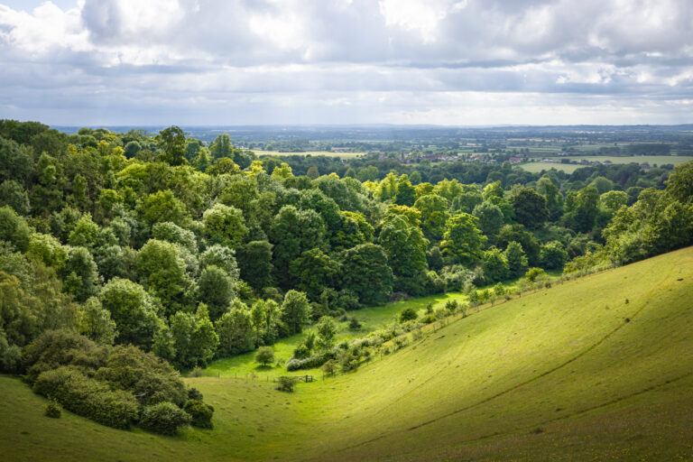 100 days of Labour: environmental progress